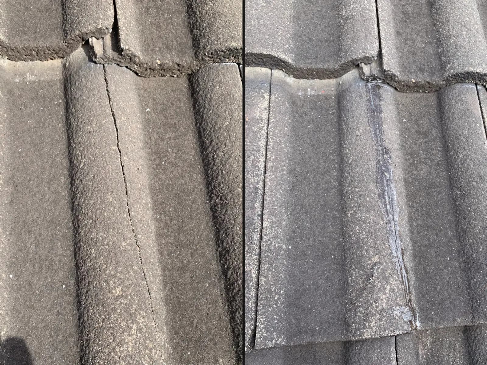 Neglected roof in need of repair
